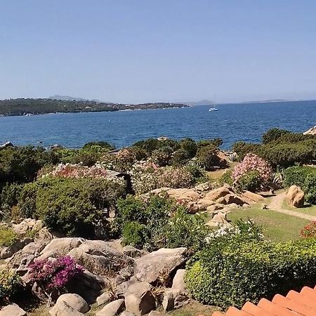 Casa Pedra Concada Διαμέρισμα Santa Marinella Εξωτερικό φωτογραφία