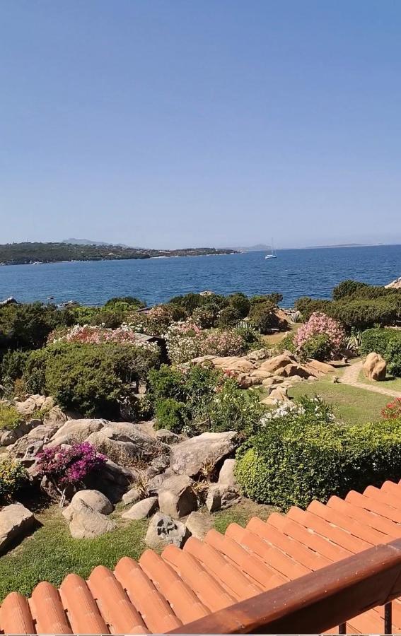 Casa Pedra Concada Διαμέρισμα Santa Marinella Εξωτερικό φωτογραφία