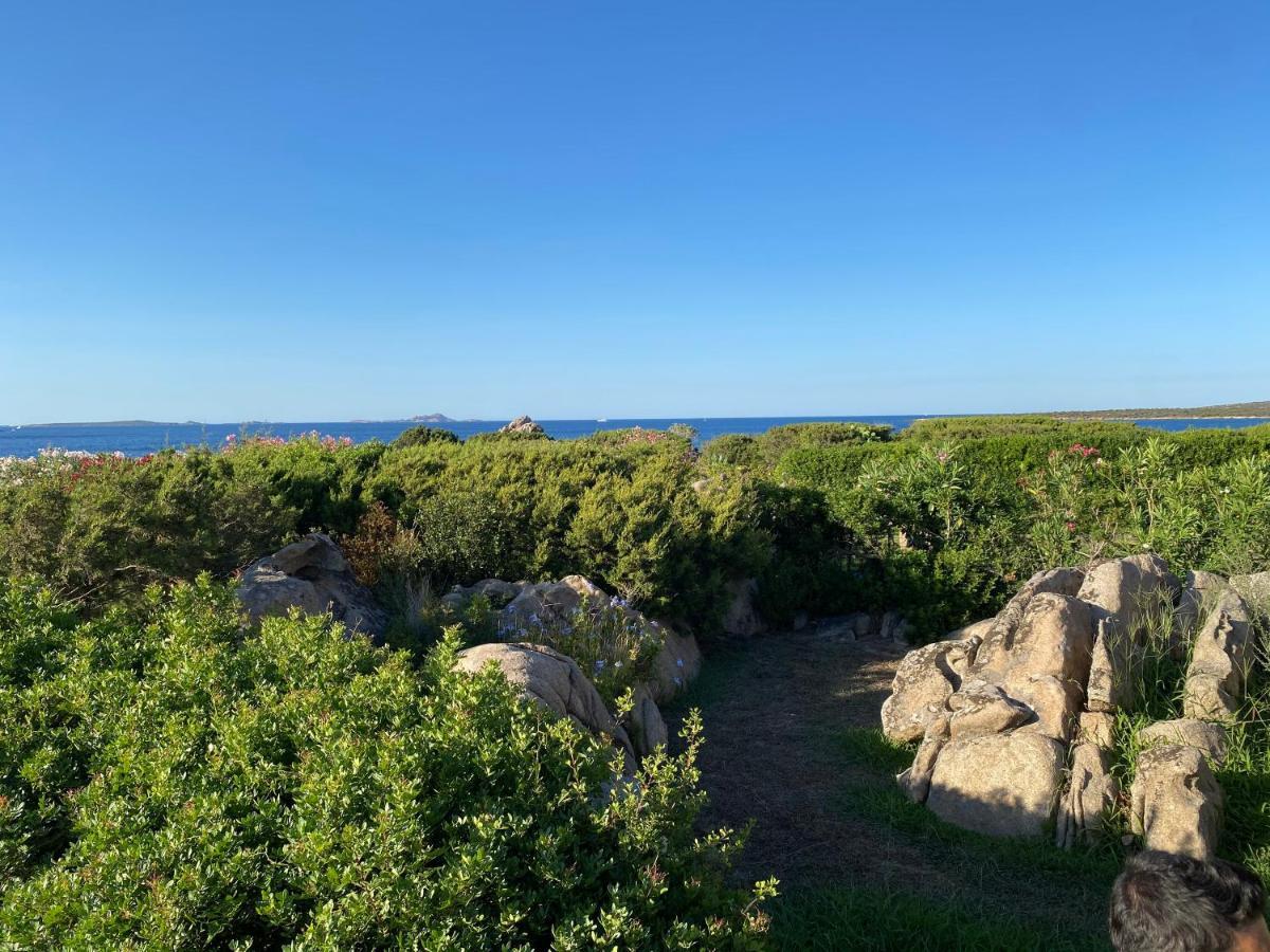 Casa Pedra Concada Διαμέρισμα Santa Marinella Εξωτερικό φωτογραφία