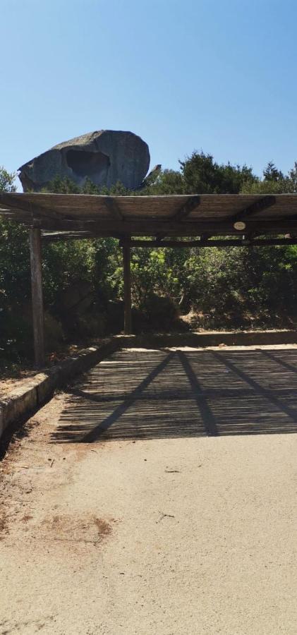 Casa Pedra Concada Διαμέρισμα Santa Marinella Εξωτερικό φωτογραφία